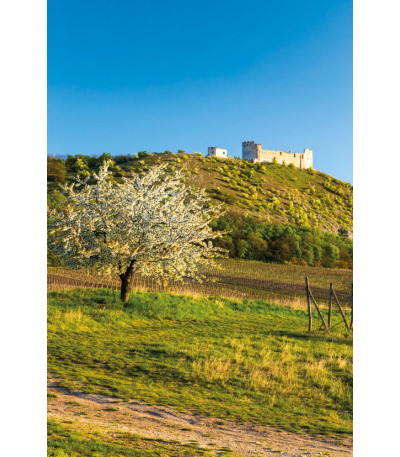 Nástěnný kalendář Krásy Moravy a Slez... - BNF7-27 5