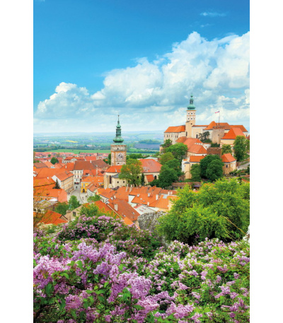 Nástěnný kalendář Krásy Moravy a Slez... - BNF7-27 6