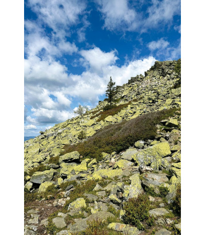 Nástěnný kalendář Krásy Moravy a Slez... - BNF7-27 9