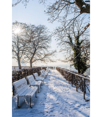 Nástěnný kalendář Krásy Moravy a Slez... - BNF7-27 13