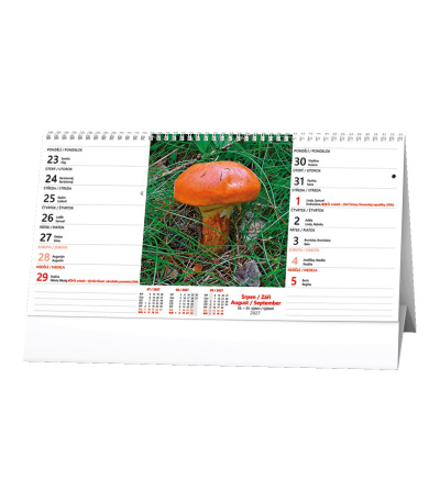 Stolní kalendář Z toulek - 14denní 2027 - BSH2-27 2