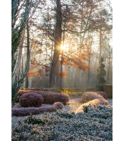 Nástěnný kalendář Zahrady - A3 2027 - BNG8-27 3