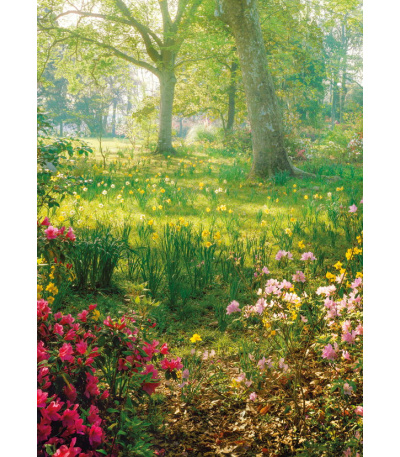 Nástěnný kalendář Zahrady - A3 2027 - BNG8-27 5