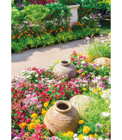 Nástěnný kalendář Zahrady - A3 2027 - BNG8-27 6