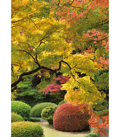 Nástěnný kalendář Zahrady - A3 2027 - BNG8-27 11