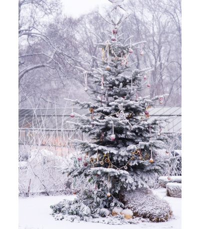 Nástěnný kalendář Zahrady - A3 2027 - BNG8-27 13