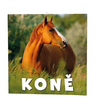 Nástěnný kalendář poznámkový Koně 2027 - BNL3-27 1