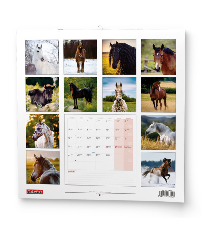 Nástěnný kalendář poznámkový Koně 2027 - BNL3-27 15