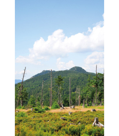 Nástěnný kalendář Hory Čech a Moravy ... - BNG5-27 5