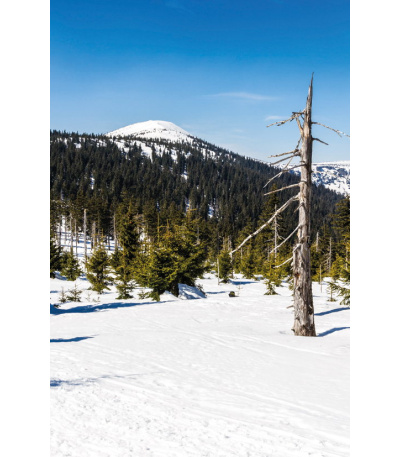 Nástěnný kalendář Hory Čech a Moravy ... - BNG5-27 12