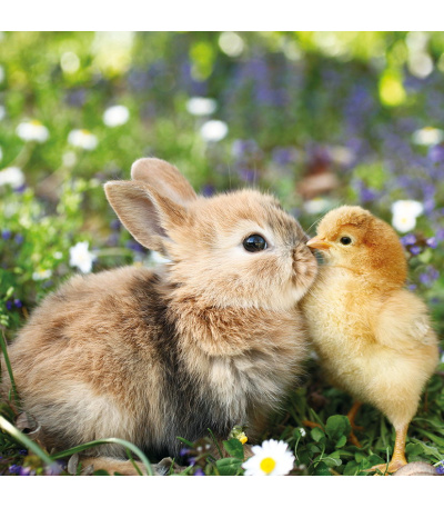 Nástěnný kalendář poznámkový Zvířátka... - BNL9-27 5