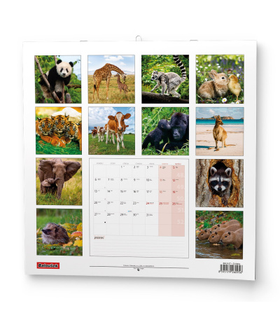 Nástěnný kalendář poznámkový Zvířátka... - BNL9-27 15