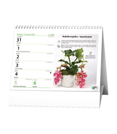 Stolní kalendář Pokojové květiny 2027 - BSC7-27 2