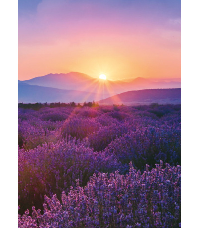 Nástěnný kalendář Provence - A3 2027 - BNG14-27 8