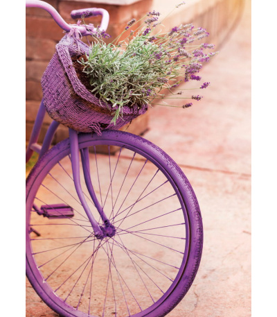 Nástěnný kalendář Provence - A3 2027 - BNG14-27 9