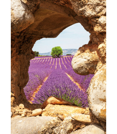 Nástěnný kalendář Provence - A3 2027 - BNG14-27 10