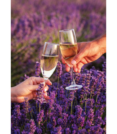 Nástěnný kalendář Provence - A3 2027 - BNG14-27 13