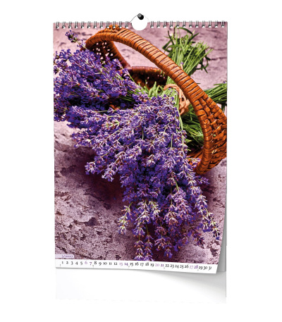 Nástěnný kalendář Provence - A3 2027 - BNG14-27 14