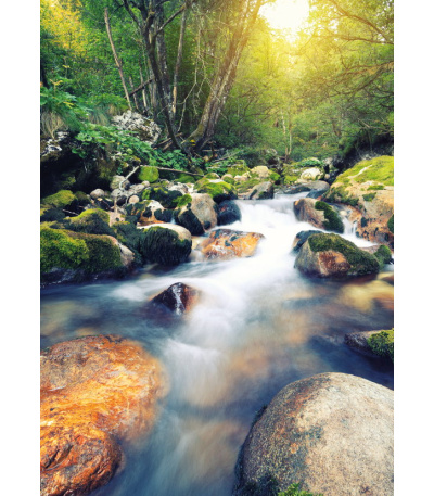 Nástěnný kalendář Řeka čaruje - A3 2027 - BNK6-27 6