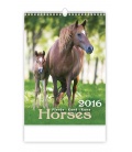 Wandkalender Koně - Horses 2016