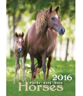 Nástěnný kalendář Koně - Horses 2016
