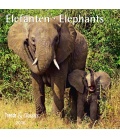 Nástěnný kalendář Sloni / Elefanten T&C 2016