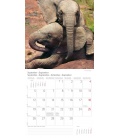 Wall calendar  Elefanten T&C 2016